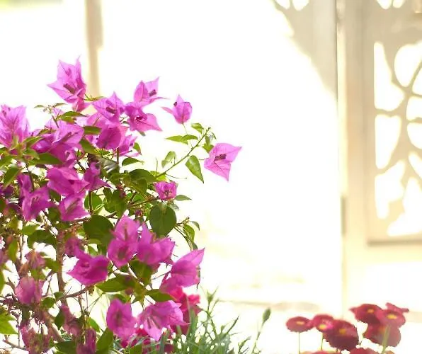 Schoenes In Am Buschend * Meerbusch